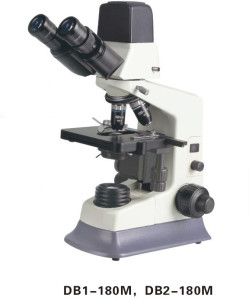db1b2180m
