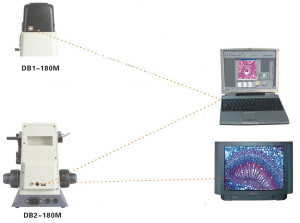 db1b2180m2
