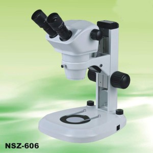 nsz606